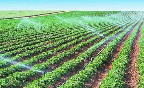 添屄生活片农田高 效节水灌溉